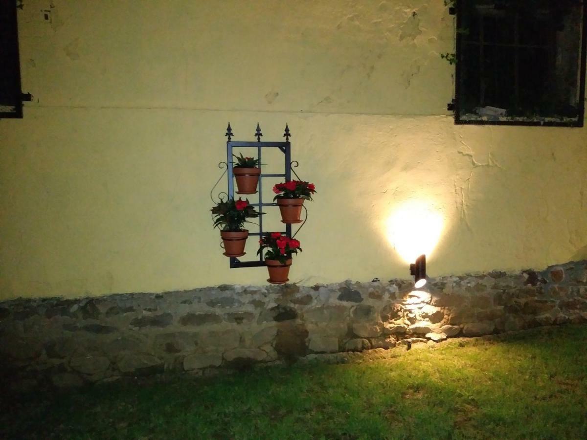 Villa Toño el Alguacil Selaya Exterior foto